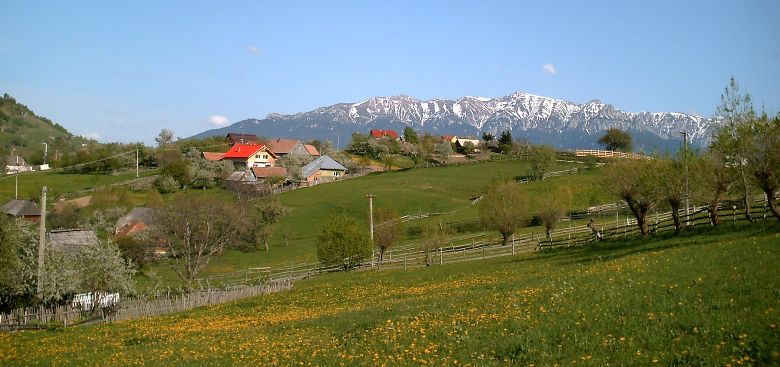 Transylvania